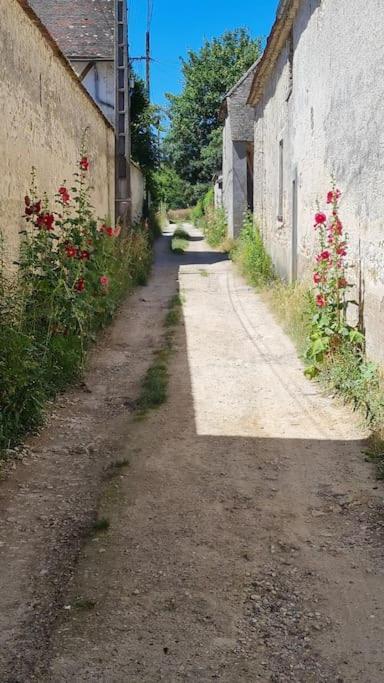 Belle Suite Dans Corps De Ferme - Logement Alicia Villiers-sous-Grez エクステリア 写真